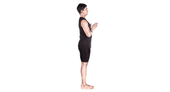 suryanamaskar, sunsalutation yoga pose