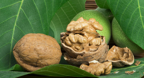 walnut low cholesterol diet food